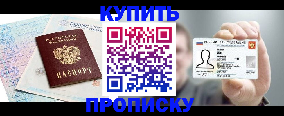 прописка в квартире в Мытищах